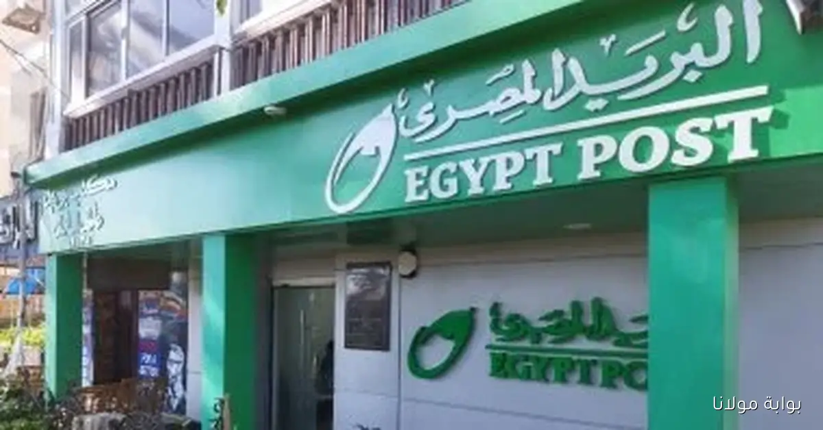 زيادة ملحوظة في ودائع صندوق توفير البريد تصل إلى 36.8% في 2024/2025