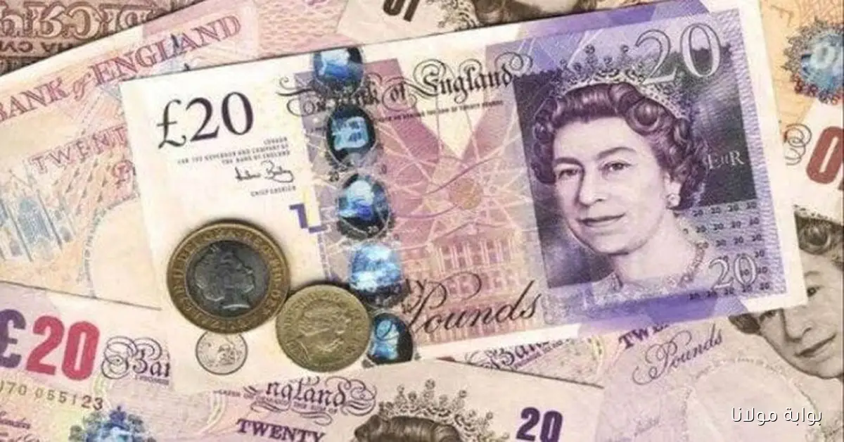 «تراجع».. سعر الجنيه الإسترليني اليوم الخميس 23 أكتوبر 2025 في الأسواق المالية