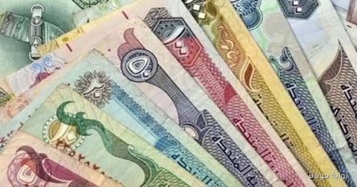 سعر الدرهم في مصر اليوم أقل من 13 جنيهاً للشراء والبيع
