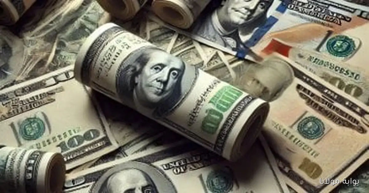 سعر الدولار الأمريكي في البنك المركزي اليوم الأحد 5 أكتوبر 2025 تحديثات لحظية