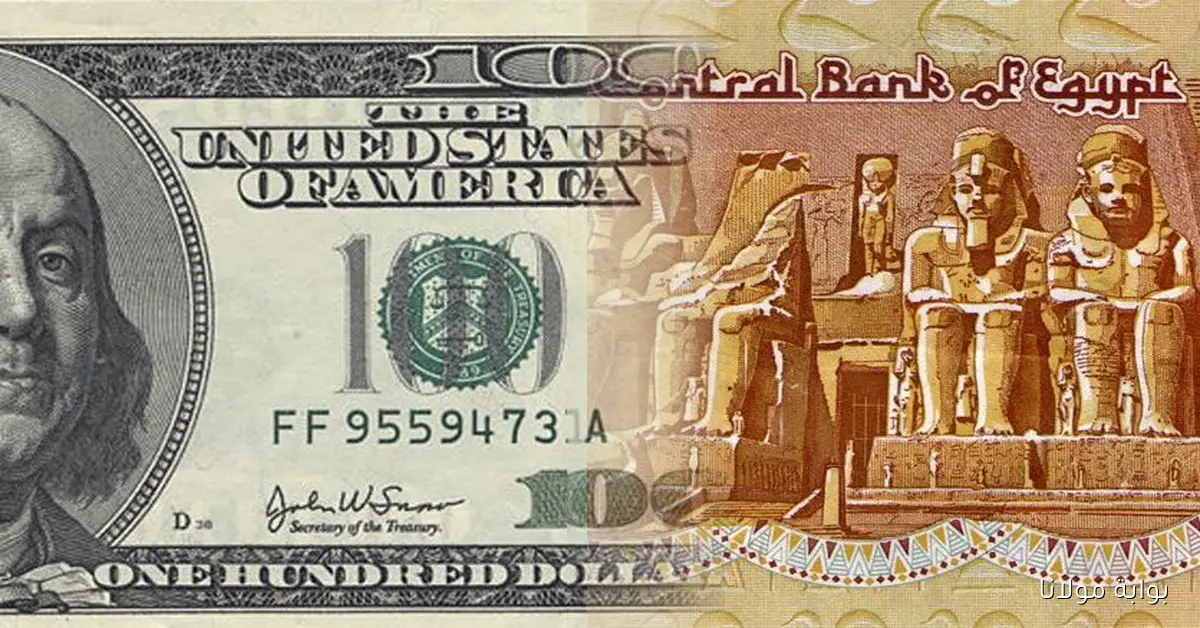 سعر الدولار الحالي في البنوك وأحدث التحديثات