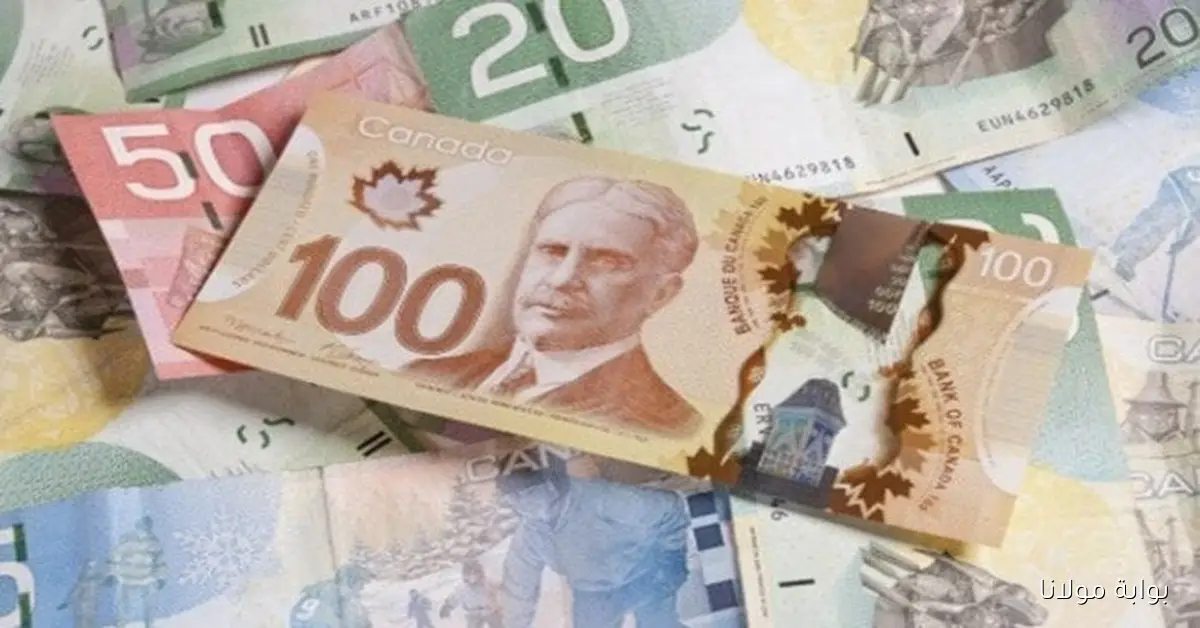 سعر الدولار الكندي في مصر داخل البنوك اليوم الاثنين 6 أكتوبر 2025