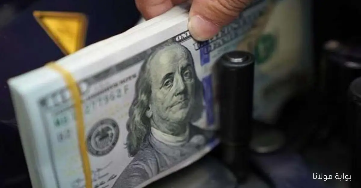 سعر الدولار اليوم في مصر وهل هناك زياده مع فتح البنوك الأحد 5 أكتوبر 2025