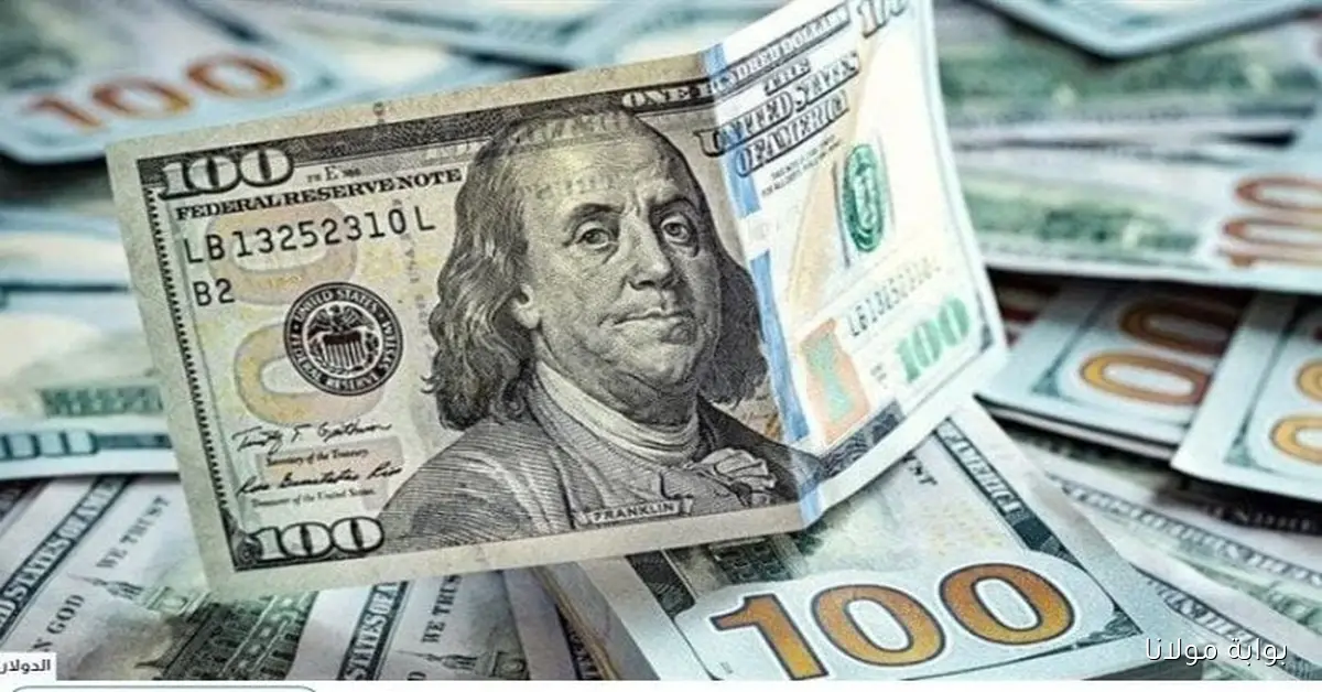 سعر الدولار مصر مقابل الجنيه اليوم الأحد 5 أكتوبر 2025 في البنوك والصرافة