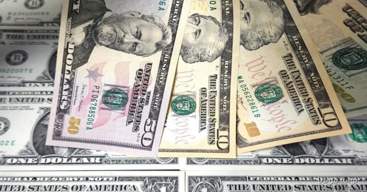 سعر الدولار مقابل الجنيه في مصر نهاية تعاملات اليوم الأربعاء 1 أكتوبر داخل البنوك