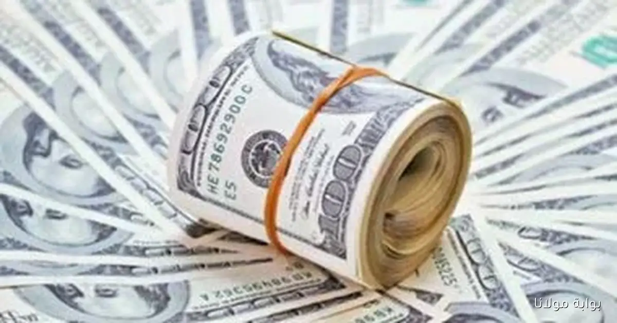 سعر الدولار مقابل الجنيه في بنك الإسكندرية اليوم الخميس 9 أكتوبر 2025 يصل إلى 47.52 جنيه