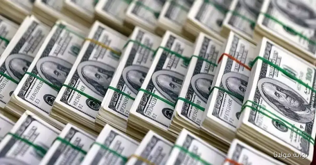 شكد 100 دولار كم دينار عراقي؟.. سعر الدولار مقابل الدينار العراقي اليوم في السوق السوداء ببغداد وأربيل والكفاح