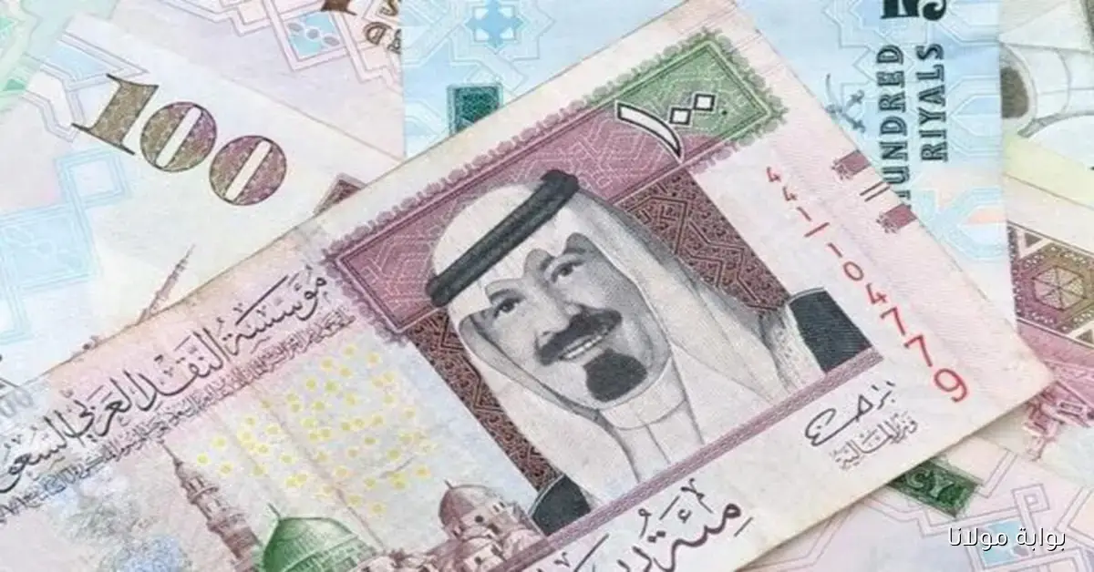 سعر الريال السعودي في البنك الأهلي اليوم وتأثيره على السوق المالية وأسعار الصرف