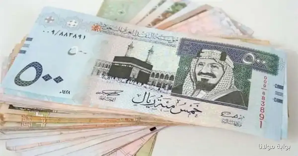 سعر الريال السعودي مقابل الجنيه المصري وباقي العملات العربية اليوم الأربعاء 9-4-1447