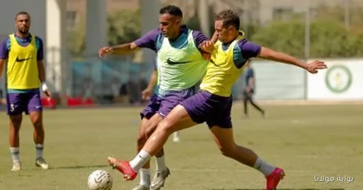 سقوط شجرة يتسبب في تحطيم سيارة نيمار لاعب البنك الأهلي مع صور توضح الأضرار