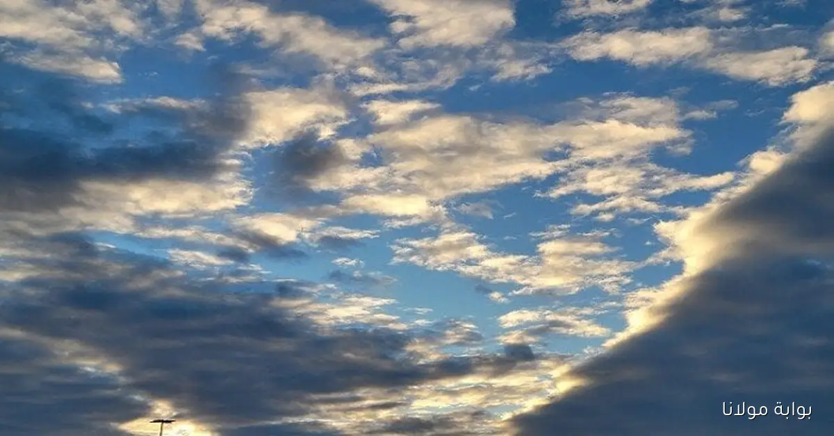 حالة الطقس خلال ساعات.. الأرصاد تحذر من شبورة وأمطار غدًا في أنحاء البلاد