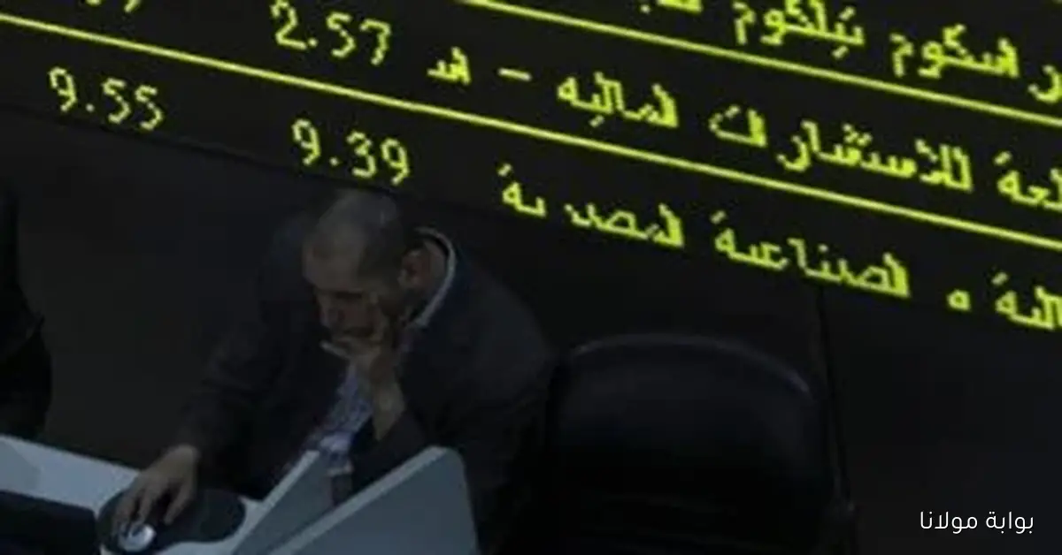 شركات الوساطة تتألق هذا الأسبوع: إى إف جى في الصدارة وثاندر تتألق بالمركز الثاني