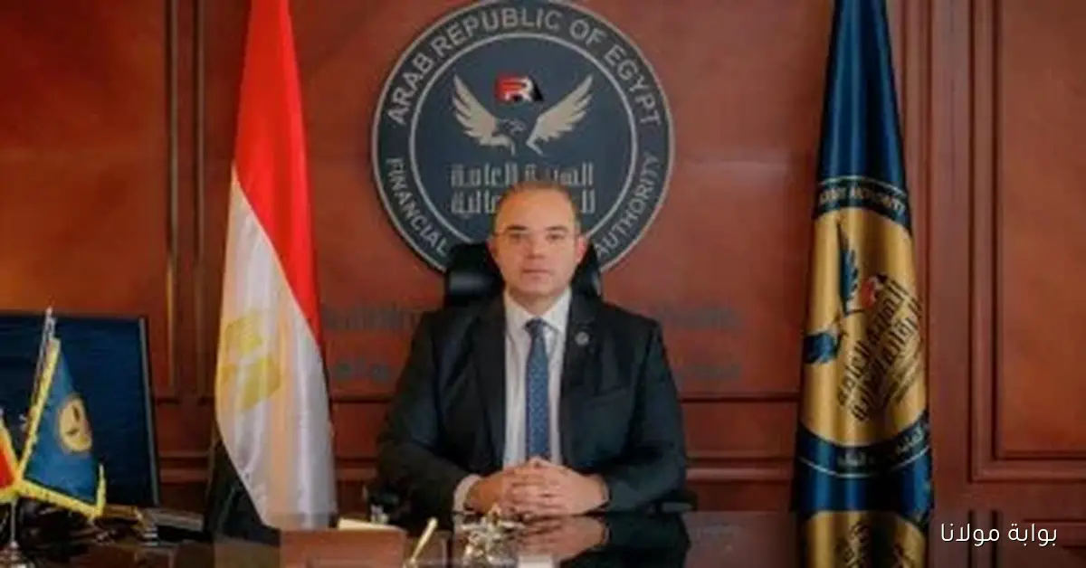 شركات تعدك بأرباح مذهلة لكن الرقابة المالية تحذر: احذر من فخ النصب