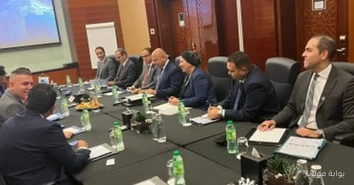 شركة إماراتية تخطط لاستثمار مليار دولار في مصر لتعزيز التجارة والتنمية