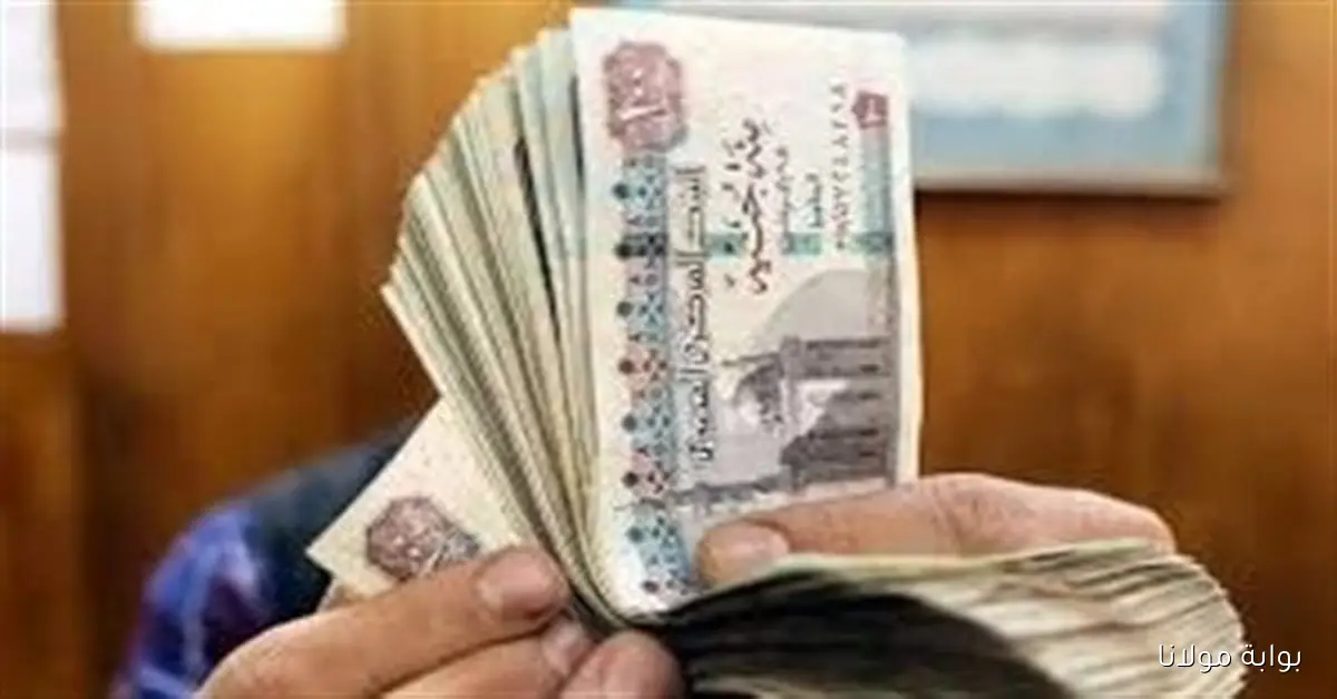 صرف حوافز المعلمين في 2025 يصل إلى 1000 جنيه بقرار من الرئيس السيسي