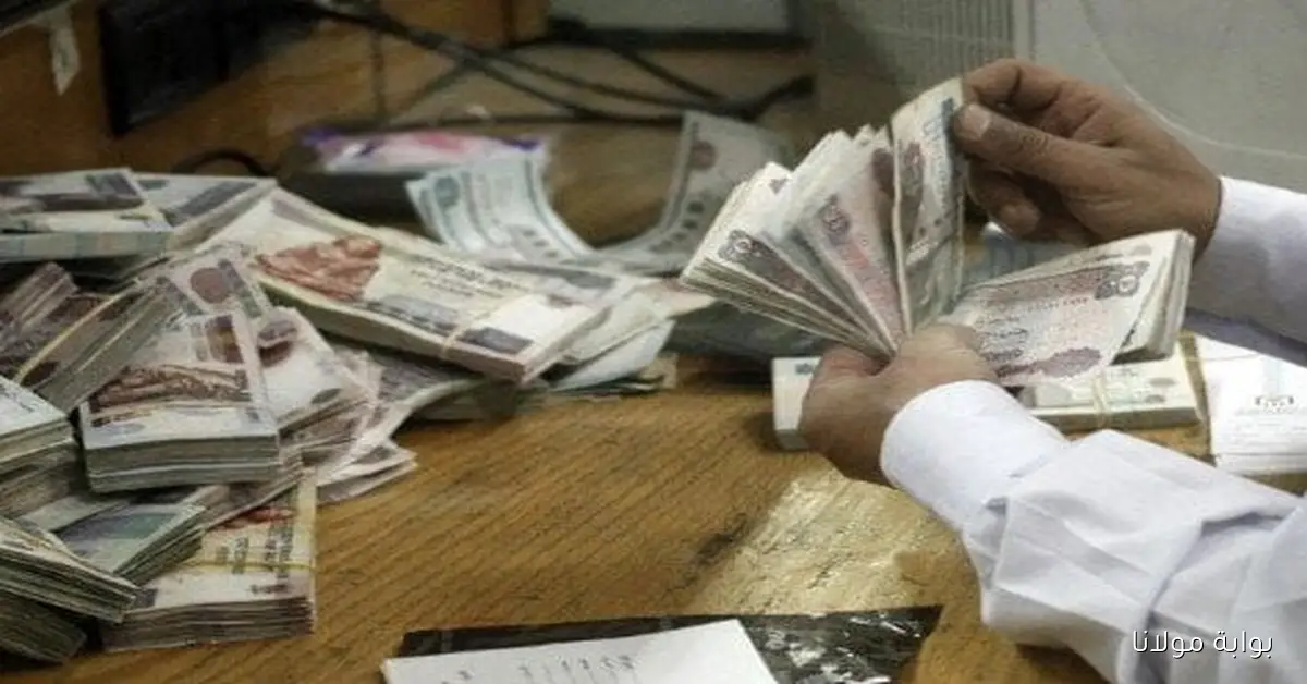 عاجل: الحكومة تبدأ صرف مرتبات شهر أكتوبر 2025 للموظفين
