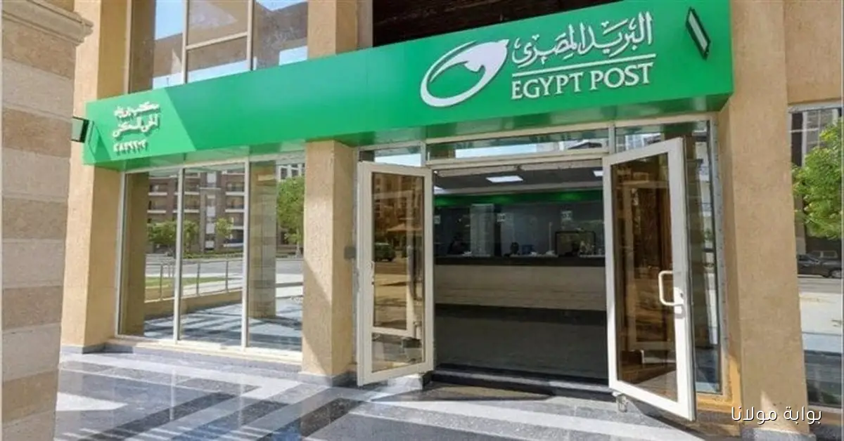 عاجل.. بدء صرف معاشات شهر أكتوبر 2025 اليوم في ماكينات ATM