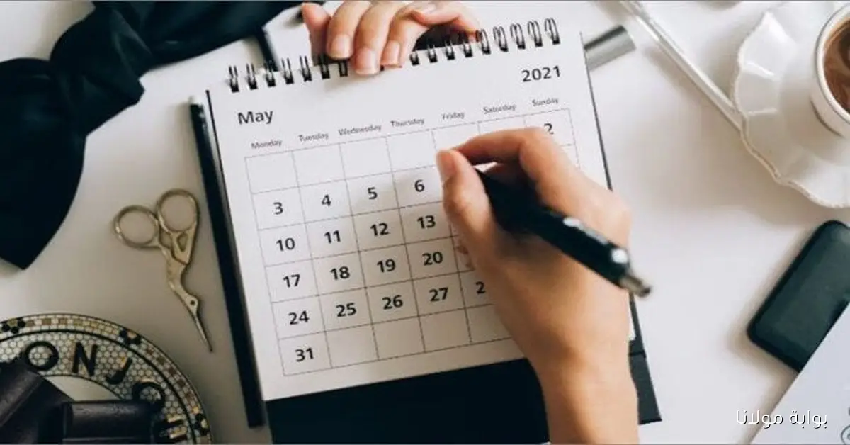 إجازة رسمية جديدة 2025.. الحكومة تعلن موعد آخر عطلة هذا العام