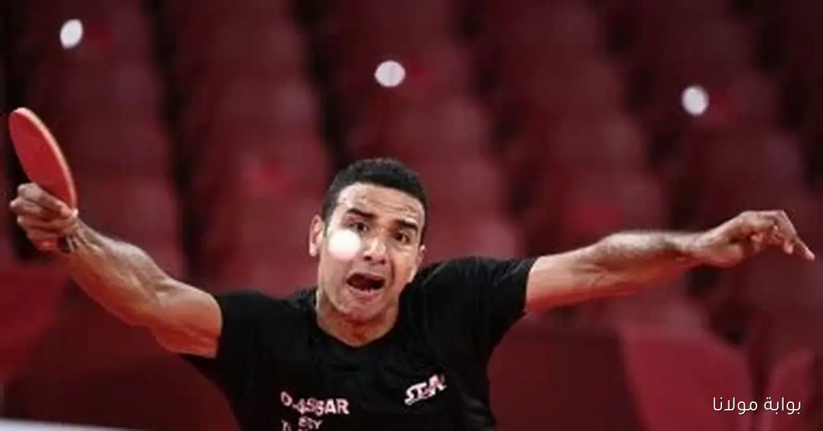 عمر عصر تحت الأضواء بعد مشاجرة البطولة الأفريقية والتحقيقات من ألمانيا