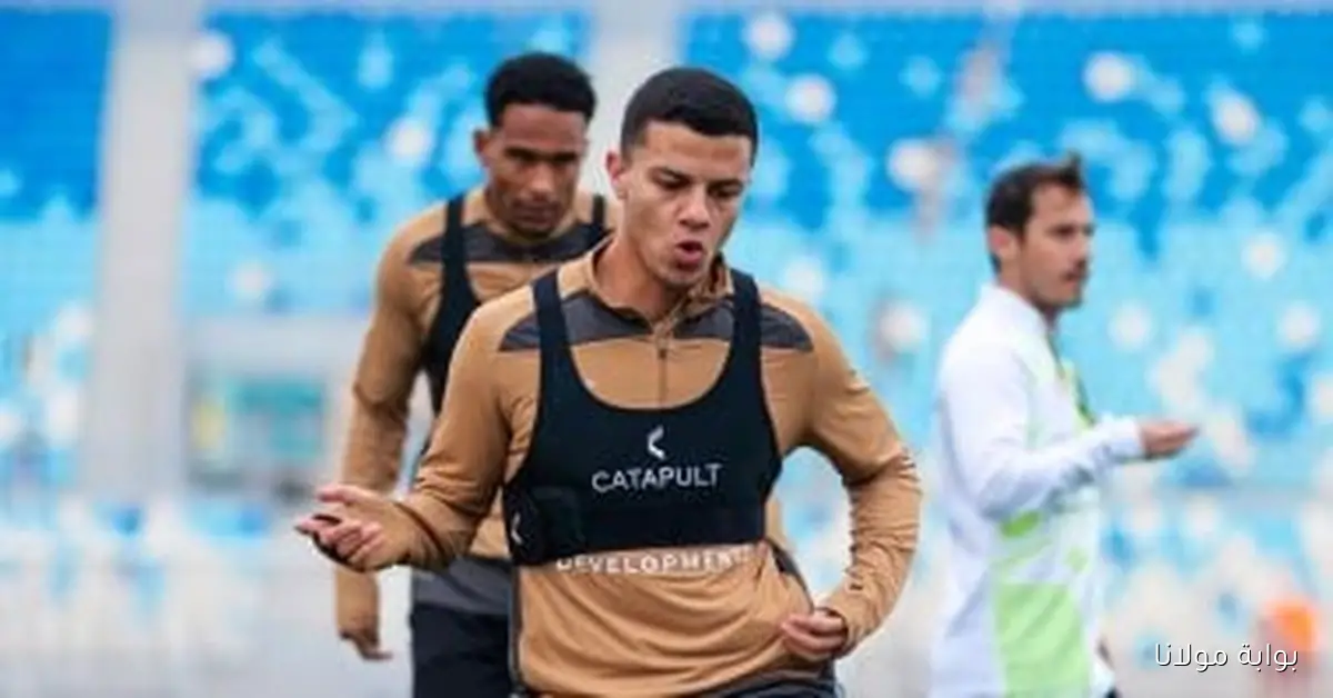 غياب محمد شحاتة عن مباريات الزمالك ودور فيريرا في ذلك