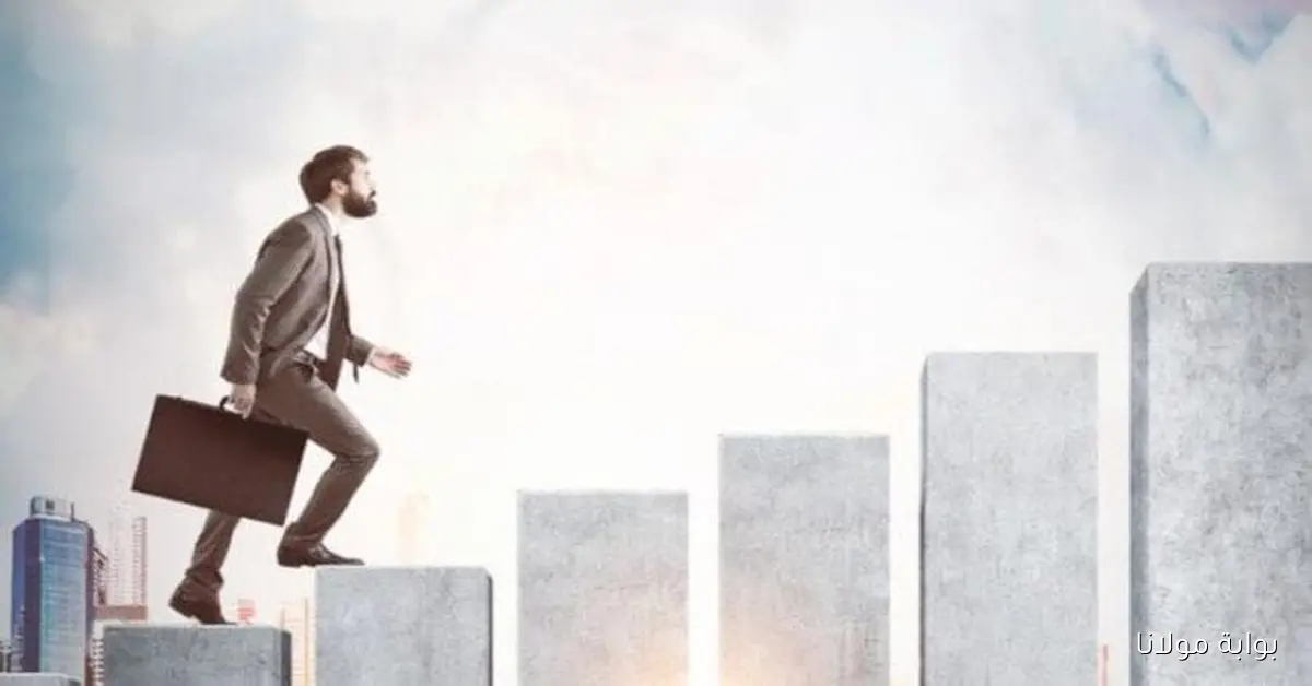 فرص عمل مميزة في الخليج لعام 2025 مع تفاصيل التخصصات والشروط والرواتب