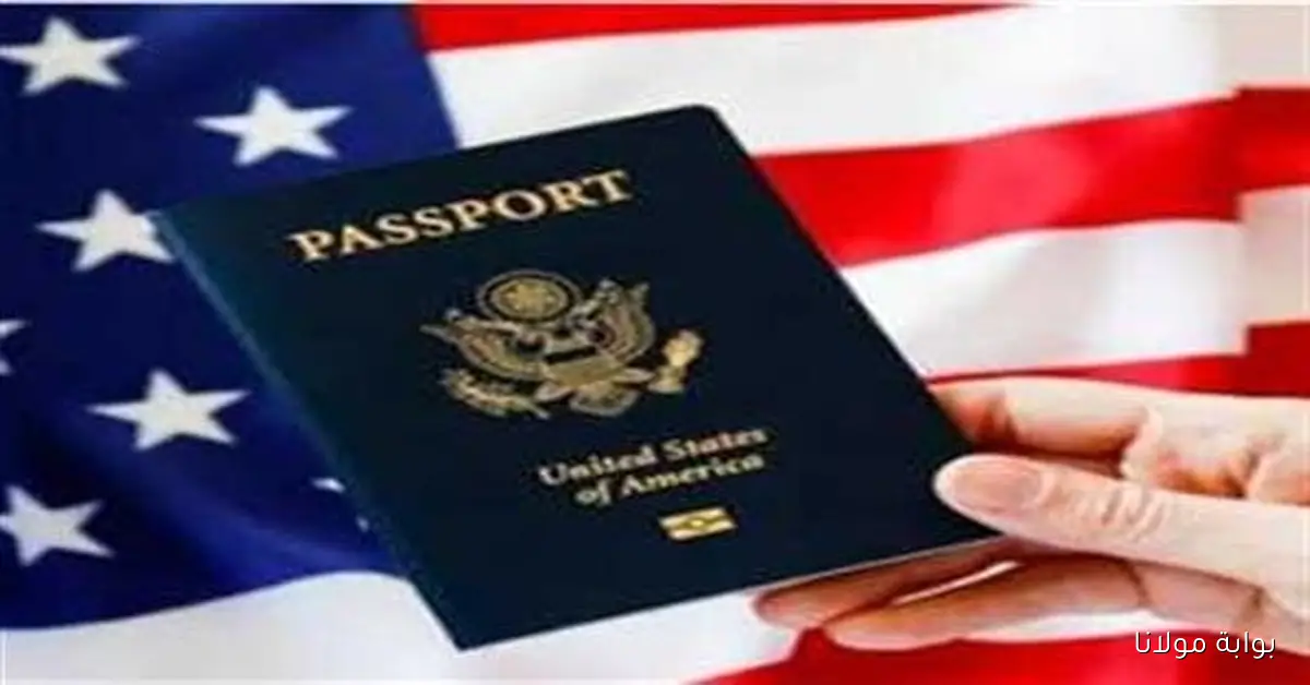 اللوتري الأمريكي 2025.. رابط مباشر للتسجيل وخطوات التقديم خطوة بخطوة