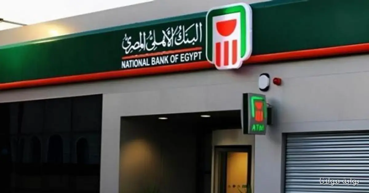 قبل اجتماع البنك المركزي.. تعرف على أبرز شهادات الادخار في 4 بنوك مصرية بعائد خيالي