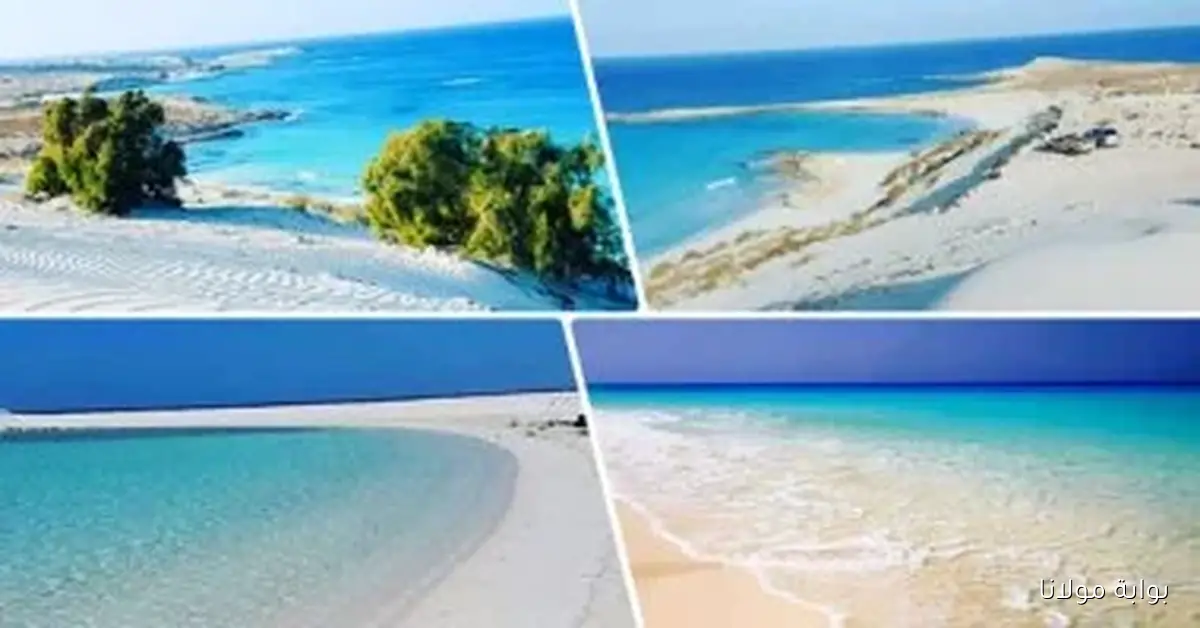 قطر تضخ 7 مليارات دولار في مشروع “علم الروم” بالساحل الشمالي لتعزيز التنمية الاقتصادية