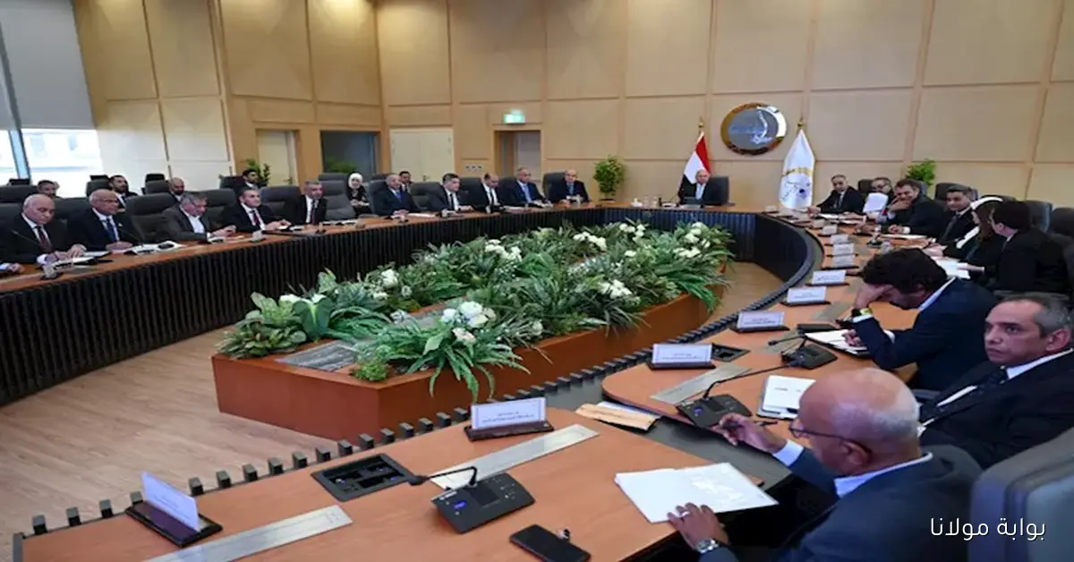 كامل الوزير يناقش مع منتجي الأسمنت سبل دعم انخفاض الأسعار وتعزيز الإنتاج