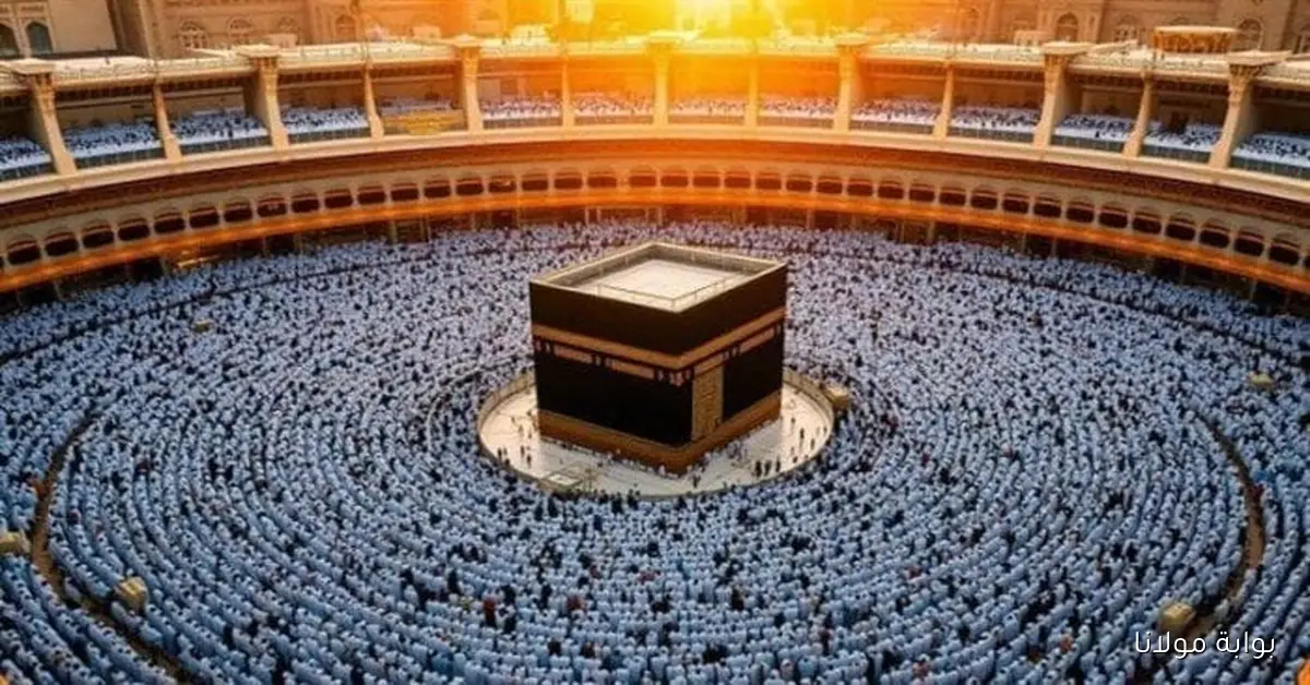 كل ما تحتاج معرفته عن التقديم لحج القرعة في وزارة الداخلية 2026 من المواعيد والأوراق المطلوبة