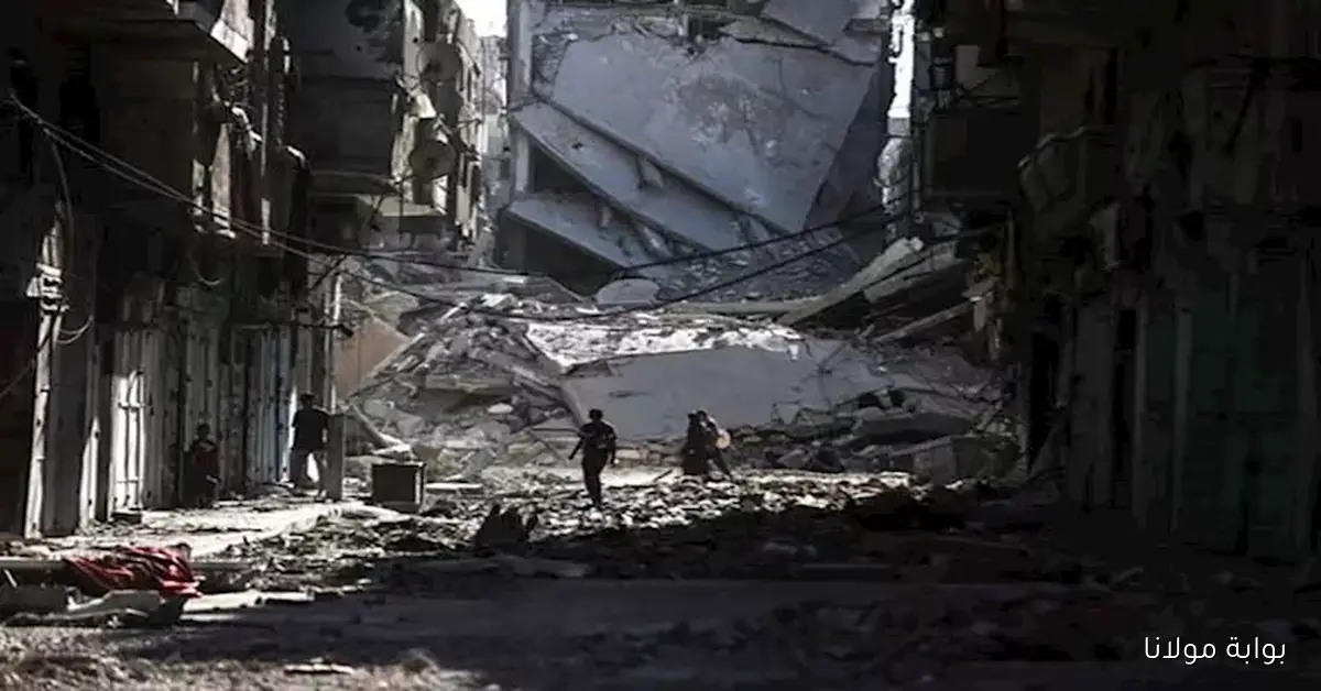 كيف تسعى مصر للتخفيف من الآثار الاقتصادية الناتجة عن الحرب في غزة وفقاً لرؤية خبير