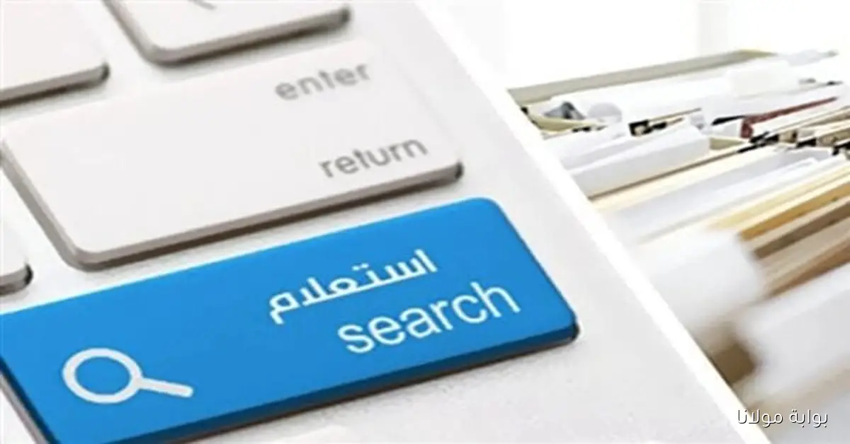 كيفية الاستعلام ودفع مخالفات المرور لعام 2025 بسهولة عبر الإنترنت مع الرابط الرسمي