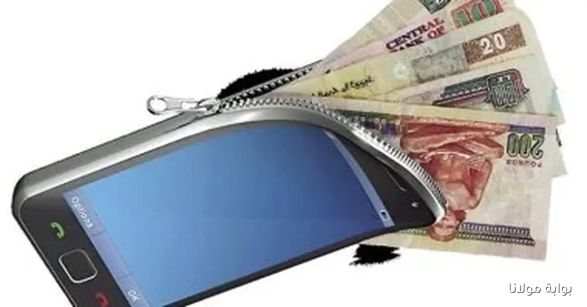 كيفية شراء وثيقة التأمين عبر الهاتف المحمول وأحدث التفاصيل من الرقابة المالية