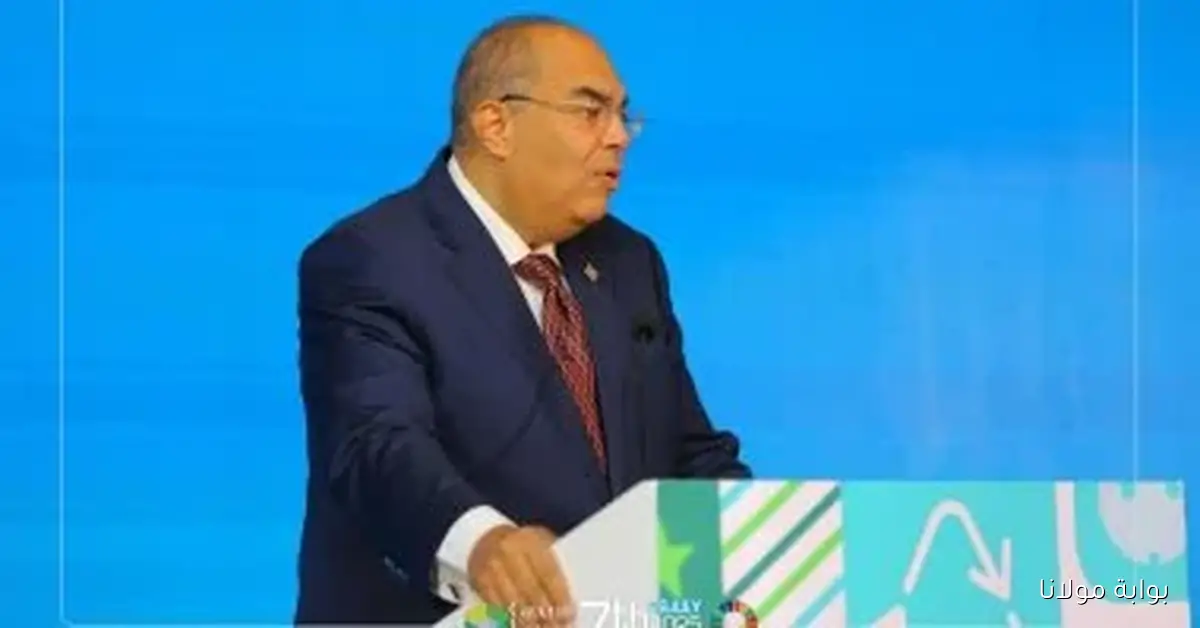 محيى الدين يؤكد أهمية التكامل العربي في تعزيز قطاع الحديد لمواجهة التحديات العالمية والمنافسة