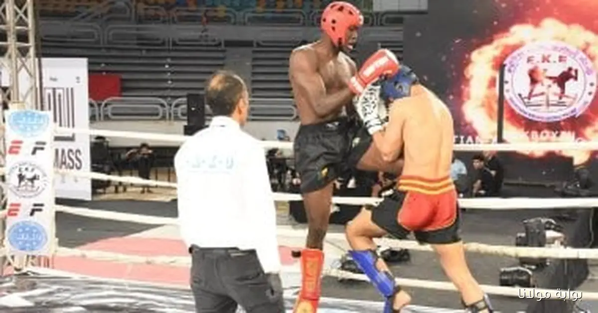 مصر تتألق في بطولة أفريقيا للكيك بوكسينج وتحقق 390 ميدالية مذهلة