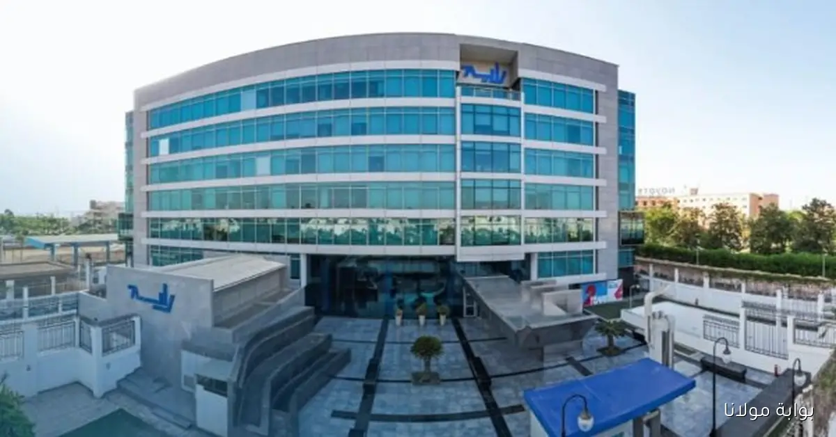 «مفاجأة السوق».. رفع سعر عرض شراء راية لخدمات مراكز الاتصالات إلى 9 جنيهات للسهم