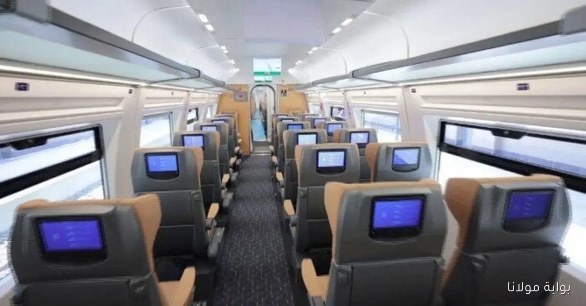 مواعيد قطارات تالجو في مصر اليوم الأربعاء 1 أكتوبر 2025 قبلي وبحري