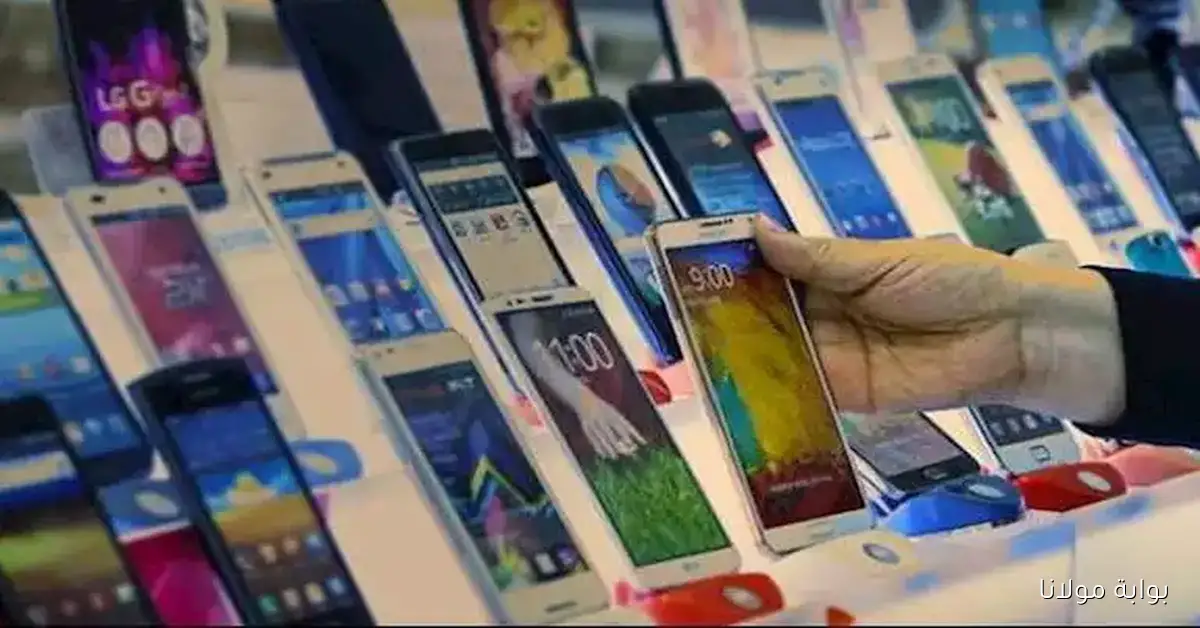 من يحق له الاستفادة من الإعفاء الجمركي في مصر؟ تفاصيل حول تنظيم الهواتف المحمولة