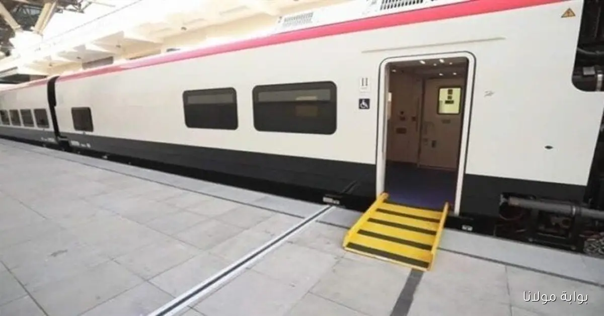 مواعيد قطار تالجو السريع اليوم الجمعة 10 أكتوبر 2025 من قبلي إلى بحري