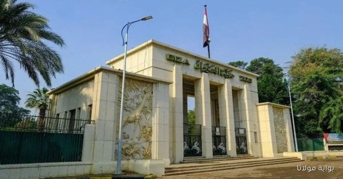 موعد افتتاح حديقة الحيوان بالجيزة بعد التجديد وأسعار التذاكر والفئات المعفاة