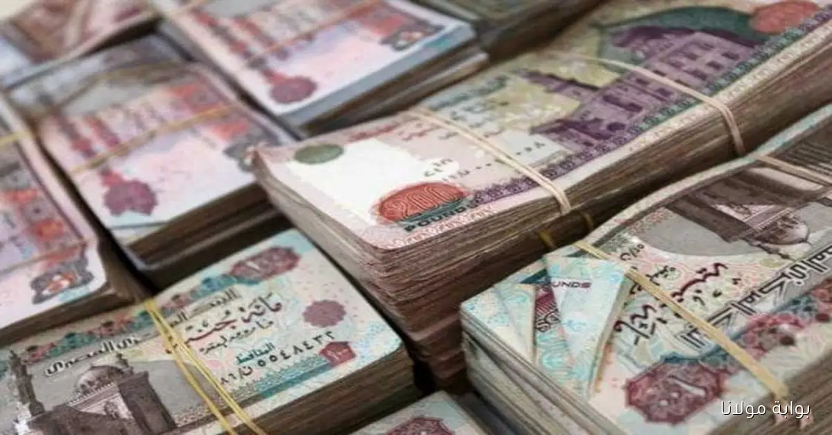المالية.. موعد صرف مرتبات هذا الشهر أكتوبر 2025 وجدول الحد الأدنى للأجور