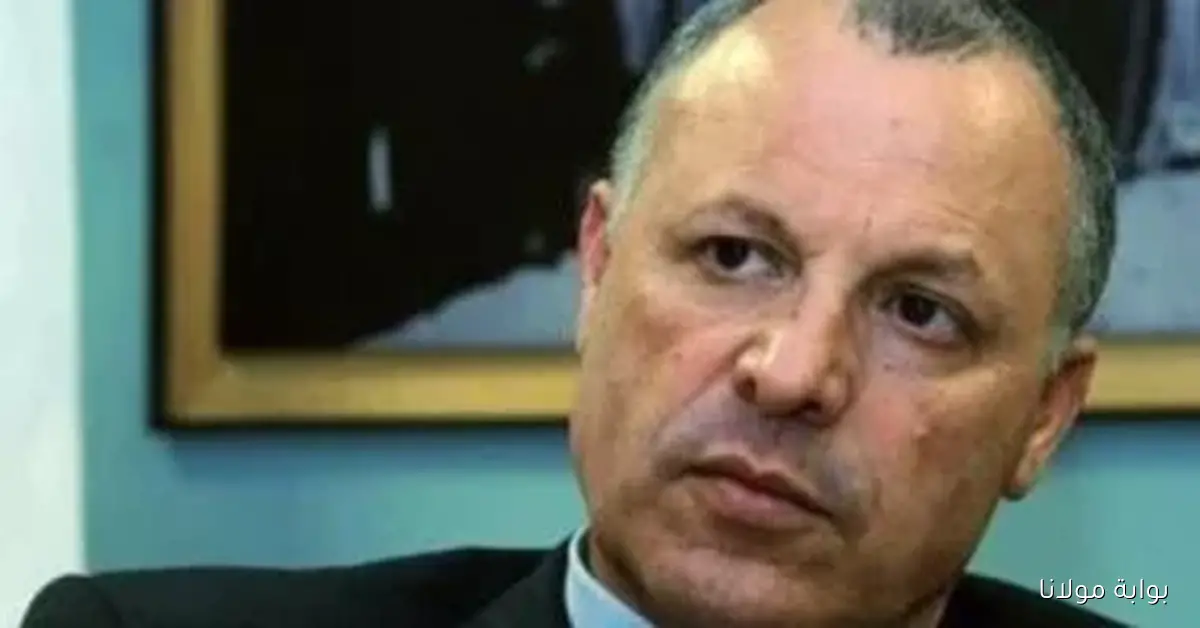 هانى أبو ريدة يؤكد استمرار حسام وإبراهيم في قيادة منتخب مصر نحو كأس العالم 2026