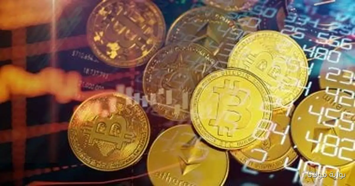هل تتجه العملات الرقمية نحو الانهيار بعد تراجعها الأخير بنسبة 8.4%؟ خبير يكشف التفاصيل