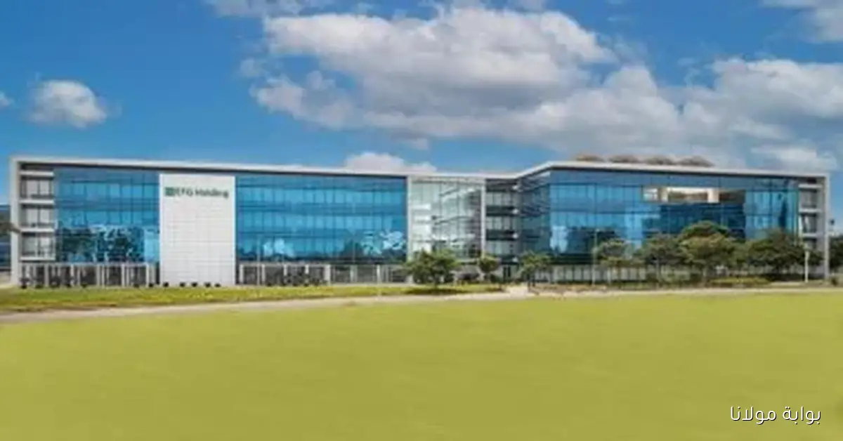 هيرميس وثاندر ومباشر يهيمنون على سوق البورصة في سبتمبر