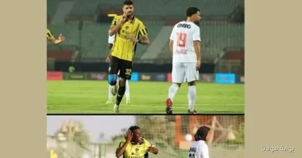 وادى دجلة يحقق انتصارات مذهلة على الزمالك رجال وسيدات، ماذا حدث؟