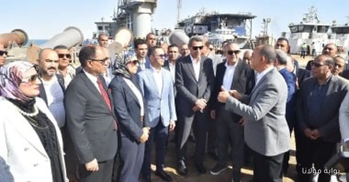 وزير الاستثمار يؤكد أن المناطق الحرة هي شريان الحياة للاقتصاد المصري