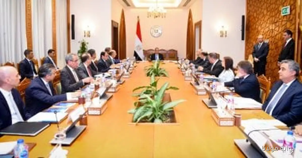 وزير الخارجية يقود اجتماع مجلس إدارة الوكالة المصرية للشراكة من أجل التنمية