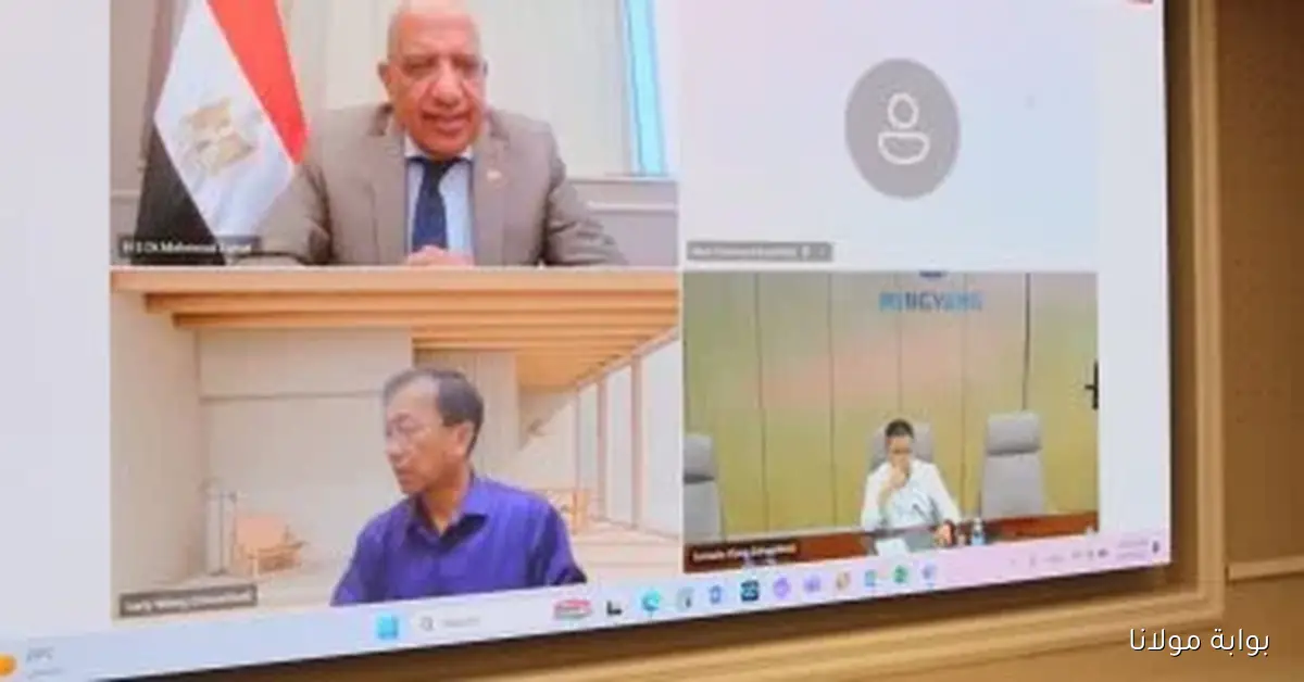وزير الكهرباء يتفاوض مع شركة مينج يانج الصينية لتعزيز صناعة توربينات الرياح في مصر