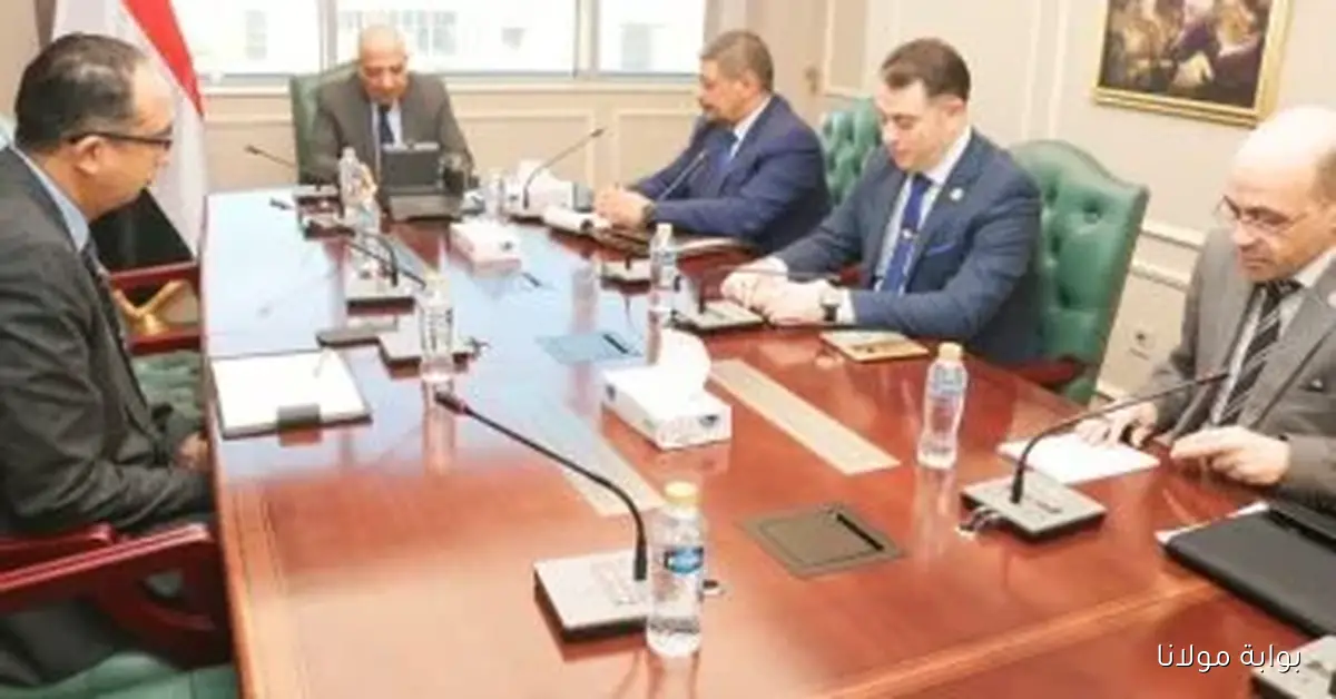 وزير الكهرباء ينسق الجهود لتعزيز مشروعات العلوم الطبية