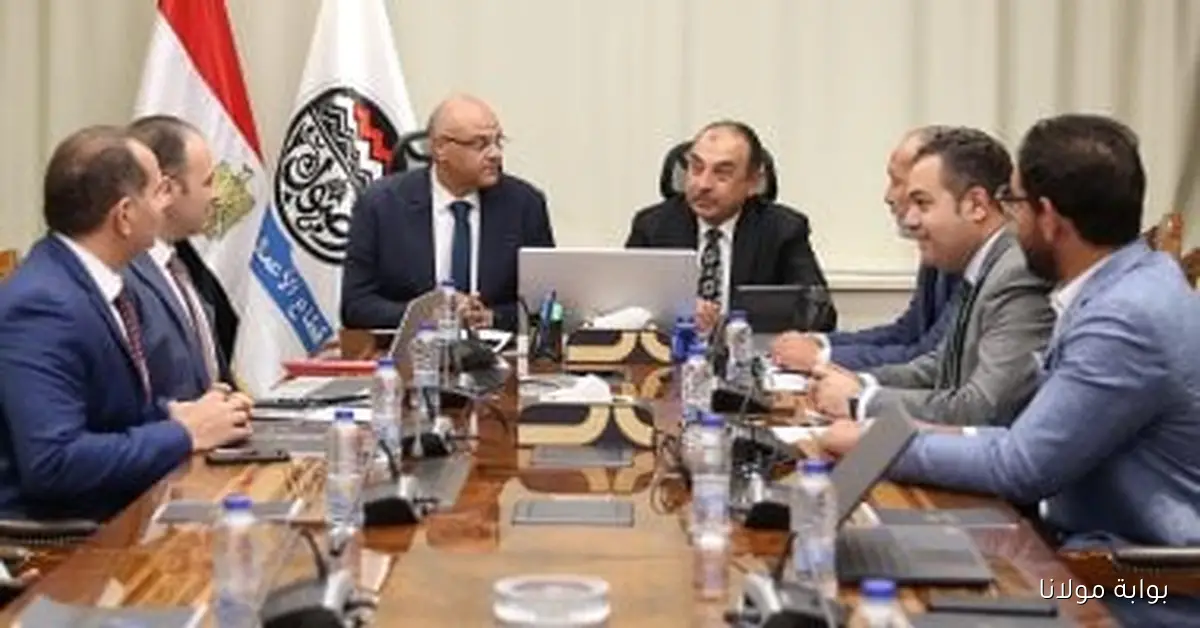 وزير قطاع الأعمال العام يلتقي محافظ القليوبية لتعزيز أوجه التعاون المشترك